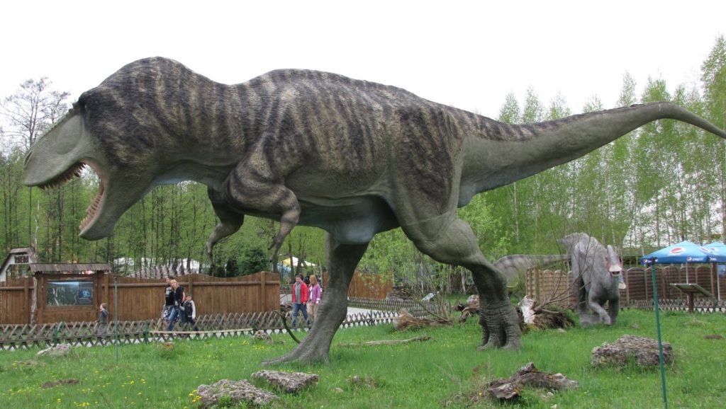 Tyranosaurus, by Marcin Polak from Warszawa / Warsaw, Polska / Poland Tyranozaur Rex Uploaded by FunkMonk, CC BY 2.0, https://commons.wikimedia.org/w/index.php?curid=31365817